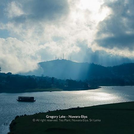 Willa Tea Plant Nuwara Eliya Zewnętrze zdjęcie